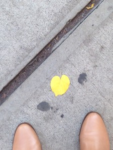 yellow heart leaf