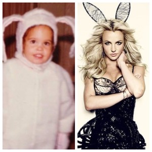 Brit bunny